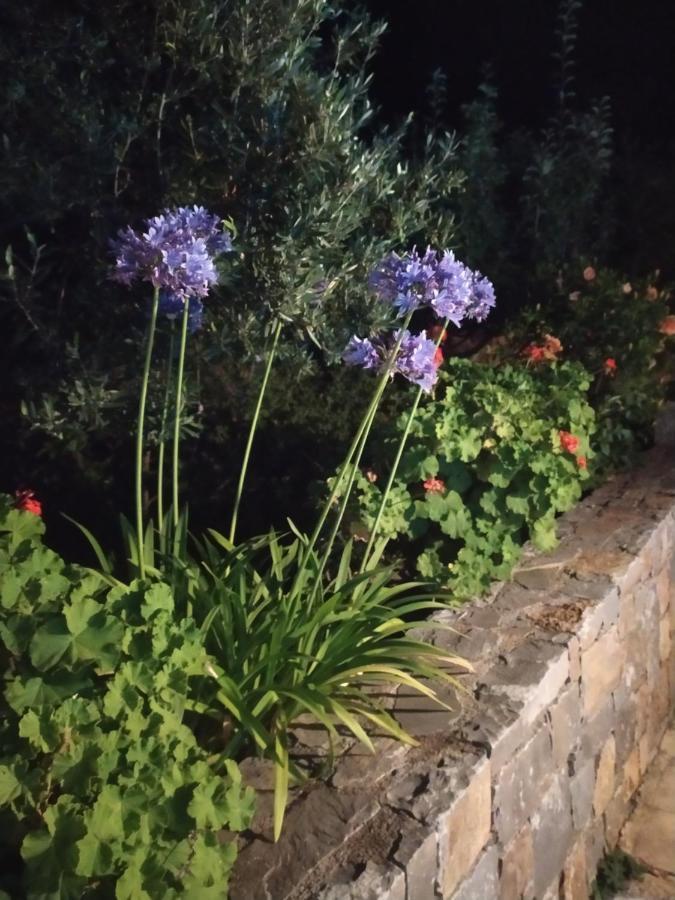 Nefeli Villas Hersonissos  Zewnętrze zdjęcie
