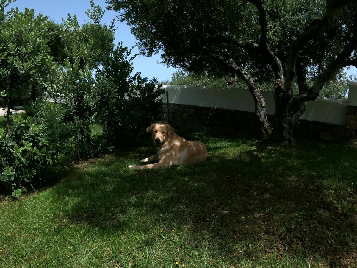 Nefeli Villas Hersonissos  Zewnętrze zdjęcie